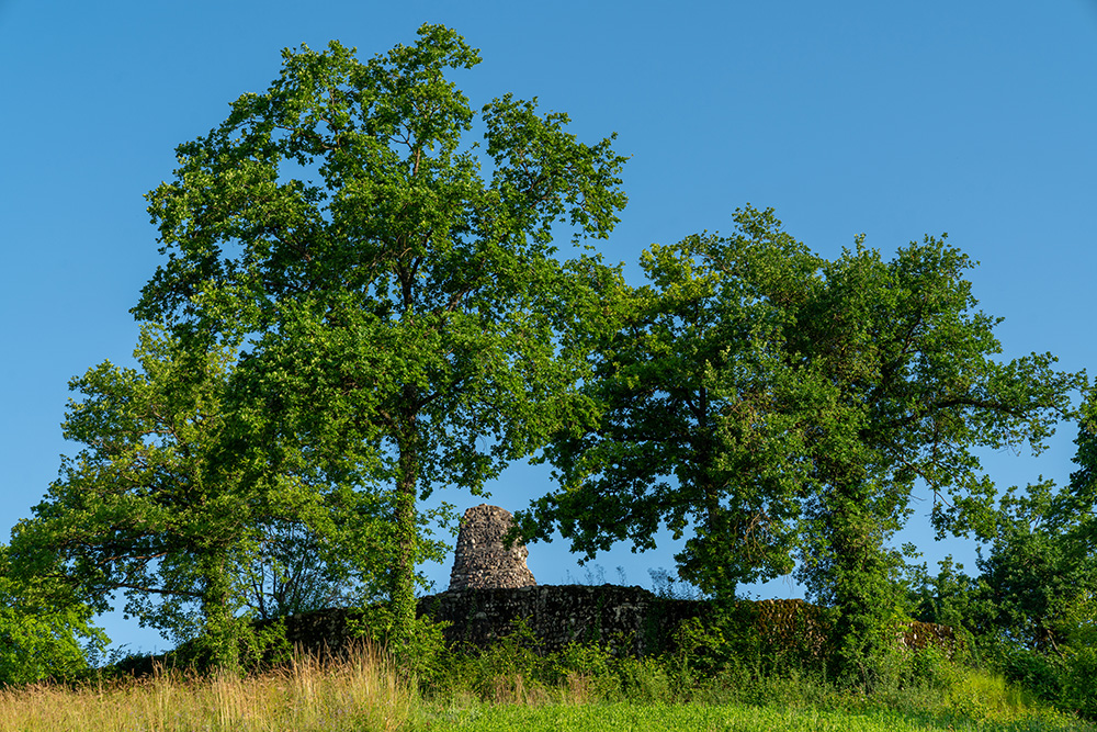 Ruine Alt-Regensberg