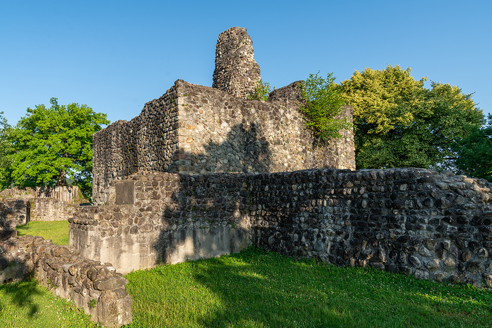 Ruine Alt-Regensberg in Altburg