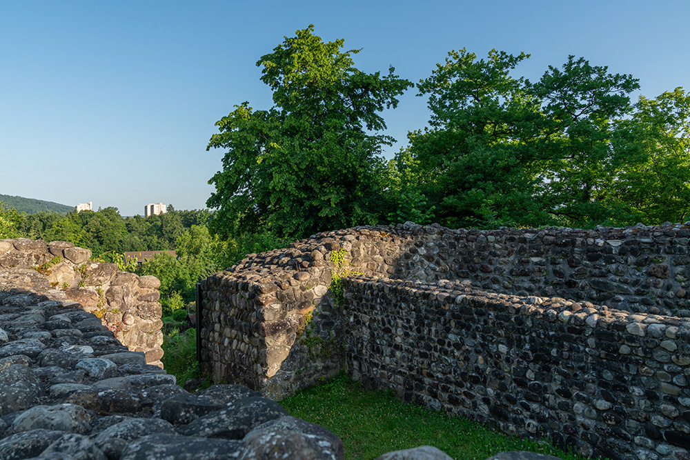 Ruine Alt-Regensberg in Altburg