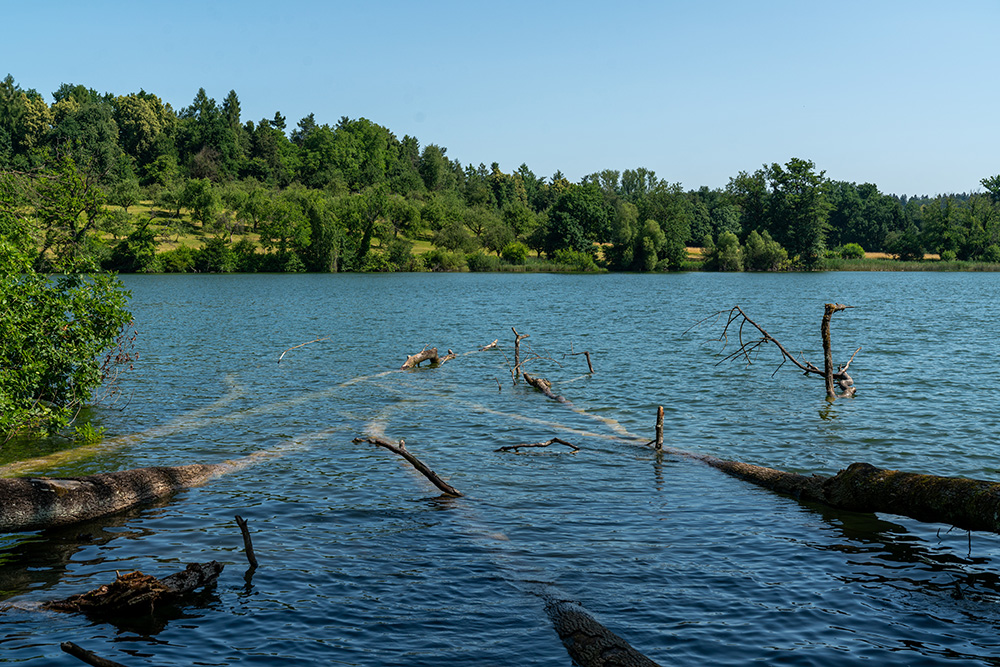 Unterer Katzensee