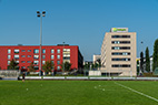 Oerlikon-114
