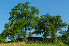 Regensdorf-008