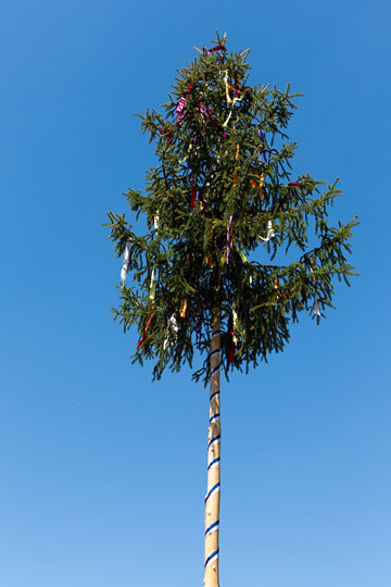 Maibaum