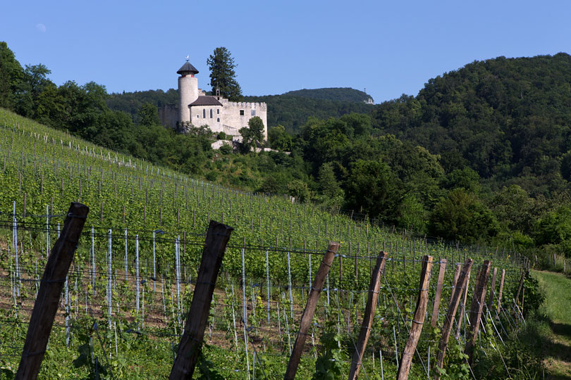 Schloss Birseck
