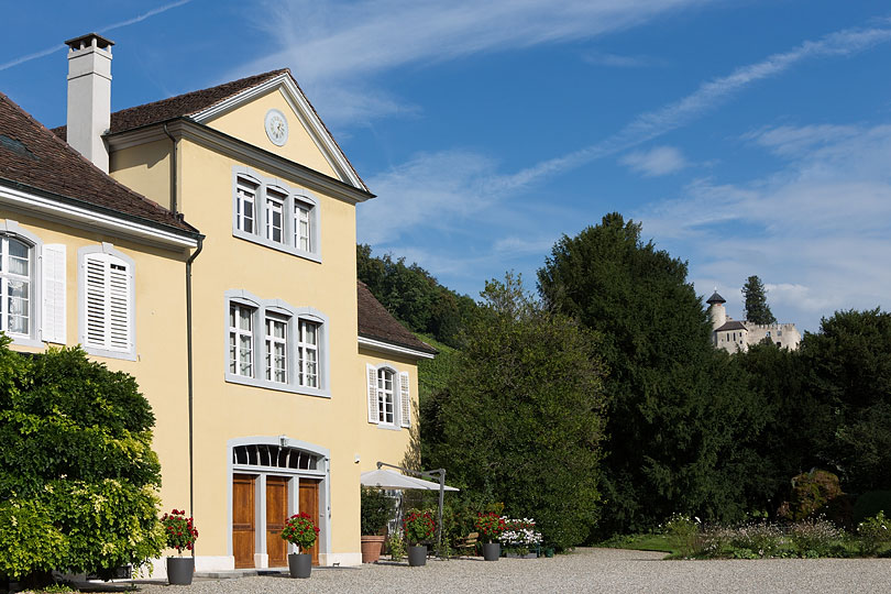 Herrschaftssitz des Andlauerhofs mit Burgruine Birseck