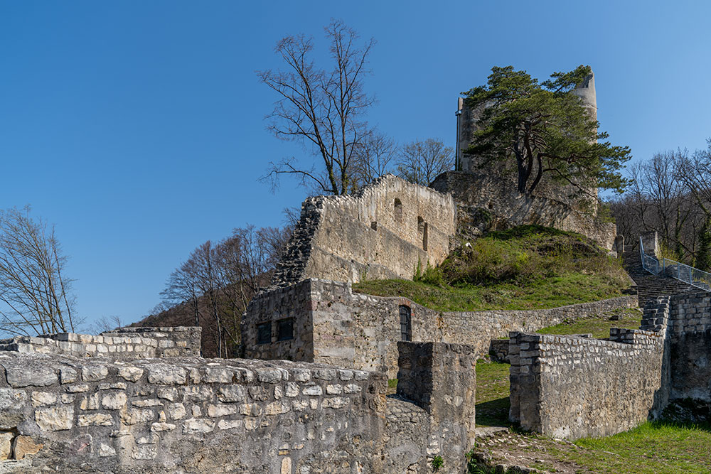 Ruine Homburg