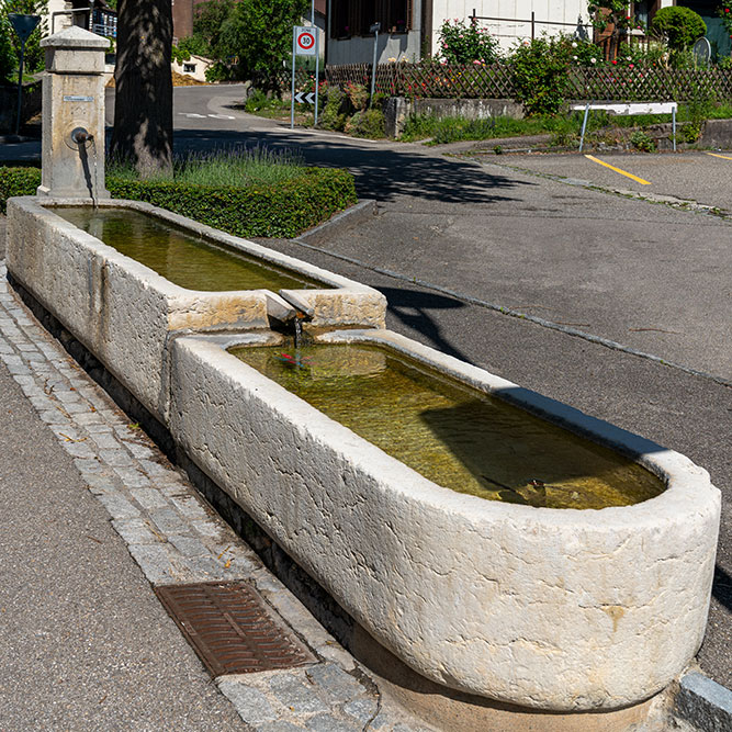 Brunnen in Pieterlen