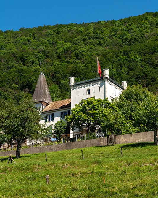 Schlössli Wildermeth