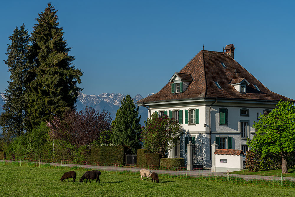 Villa in Oberdiessbach